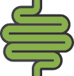 Gut Health <br />& Digestion