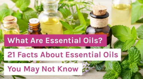 What Are Essential Oils? 21 Facts About Essential Oils You May Not Know