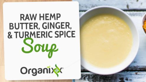 Raw Hemp Butter, Ginger, Turmeric Spice Soup