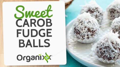 Sweet Carob Fudge Balls