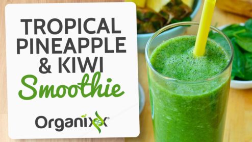Tropical Pineapple & Kiwi Smoothie
