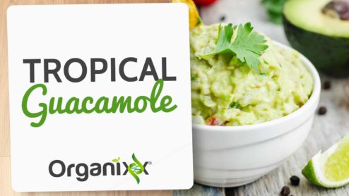 Tropical Guacamole
