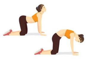 woman-doing-body-stretching-with-cat-cow-yoga-exercise