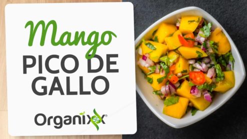 Mango Pico de Gallo Recipe