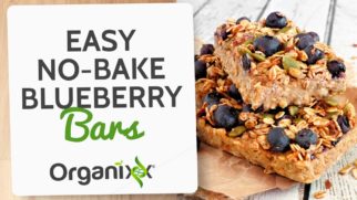 Easy, No-Bake Blueberry Oatmeal Bars