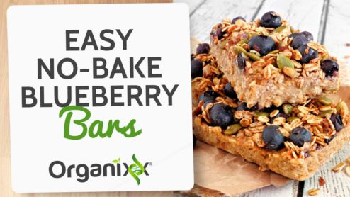 Easy, No-Bake Blueberry Oatmeal Bars