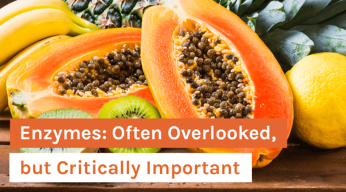 Enzymes: Often Overlooked, but Critically Important