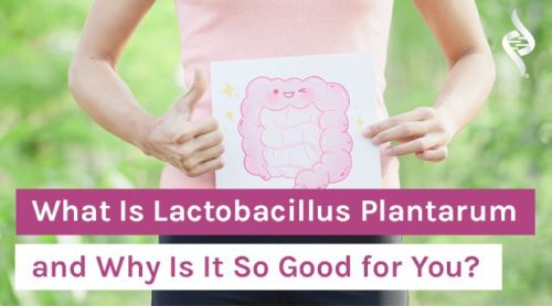 What Is Lactobacillus Plantarum and Why Is It So Good for You?