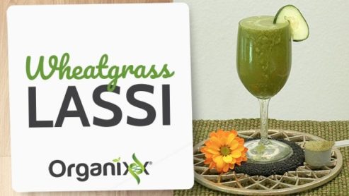 Wheatgrass Lassi