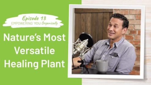 Understanding the Healing Power of Cannabis