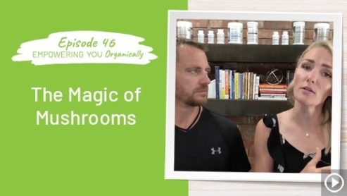 The Magic of Mushrooms