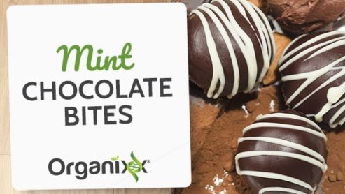 Mint Chocolate Bites with Essential Oils