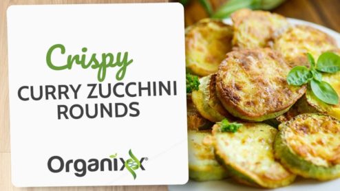 Crispy Curry Zucchini Rounds with Parmesan
