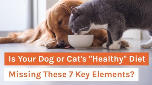 Is Your Dog or Cat's "Healthy" Diet Missing These 7 Key Elements?
