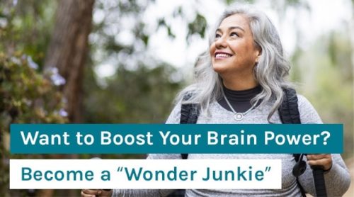 Want to Boost Your Brain Power? Become a “Wonder Junkie”