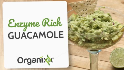 Enzyme Rich Guacamole with Pineapple