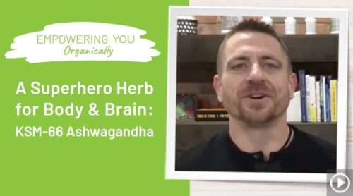 A Superhero Herb for Body & Brain: KSM-66 Ashwagandha