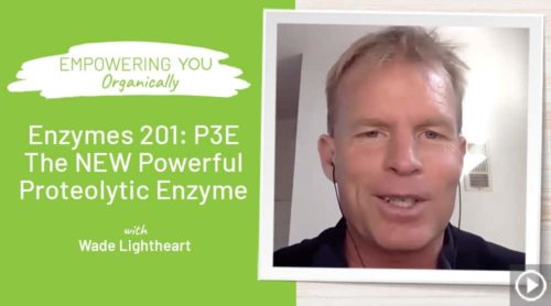 Enzymes 201: P3E The NEW Powerful Proteolytic Enzyme