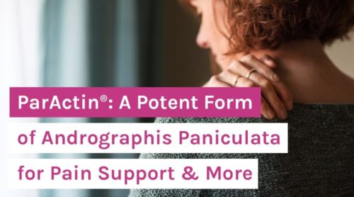 ParActin®: A Potent Form of Andrographis Paniculata for Pain Support & More