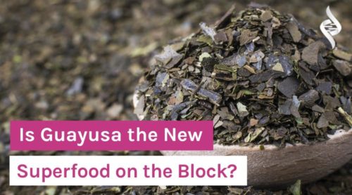 Is Guayusa the New Superfood on the Block?