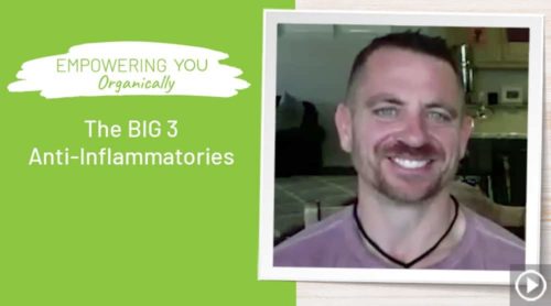 The BIG 3 Anti-Inflammatories