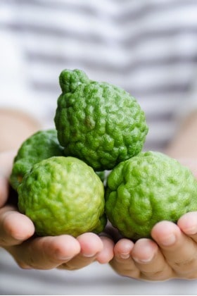 bergamot-fruit-in-hand