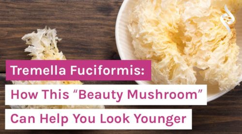 Tremella Fuciformis: How This “Beauty Mushroom” Can Help You Look Younger
