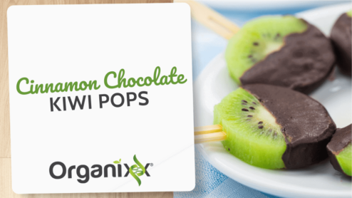 Cinnamon Chocolate Covered Kiwi Pops