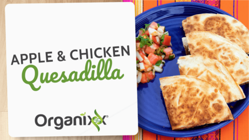 Chicken and Apple Quesadilla