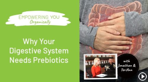 Why Your Digestive System Needs Prebiotics
