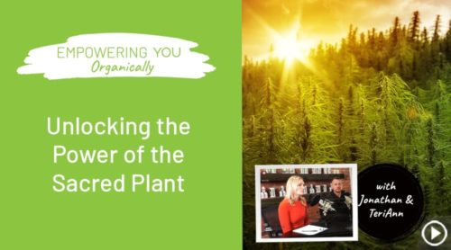 Unlocking the Power of the Sacred Plant