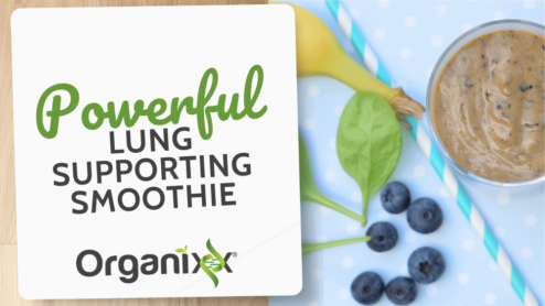 Powerful Lung-Supporting Smoothie