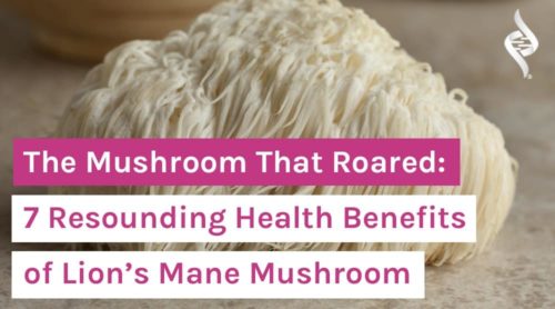 The Mushroom That Roared: 7 Resounding Health Benefits of Lion’s Mane Mushroom