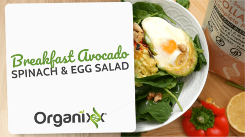 Breakfast Avocado Spinach and Egg Salad