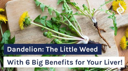 Dandelion: The Little Weed With 6 Big Benefits for Your Liver!