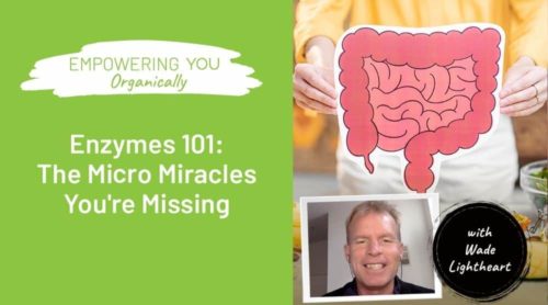 Enzymes! The Micro Miracles You're Missing