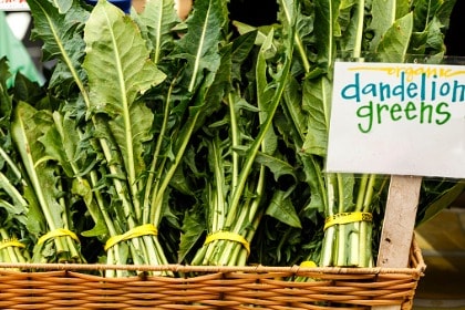 bitter-dandelion-greens-basket