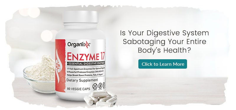 ENZYME 17 - Advanced Enzyme Formula