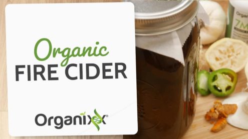 Organic Fire Cider