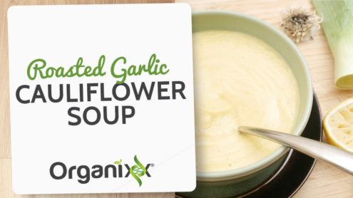 Roasted Garlic Cauliflower Soup