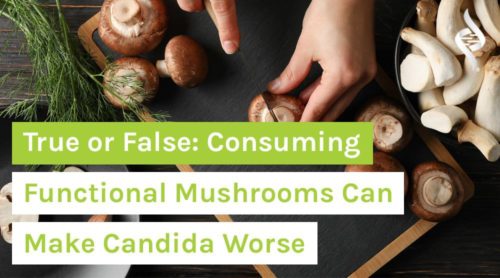 True or False: Consuming Functional Mushrooms Can Make Candida Worse