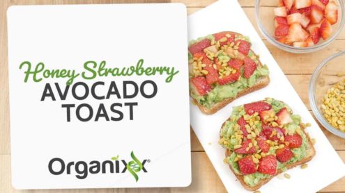 Honey Strawberry Avocado Toast