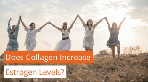 Beginner’s Guide: Does Collagen Increase Estrogen Levels?