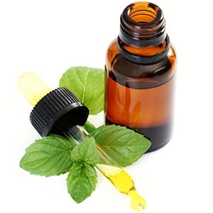 Peppermint Oil