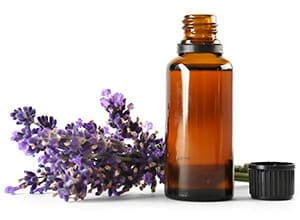 lavender essential oil