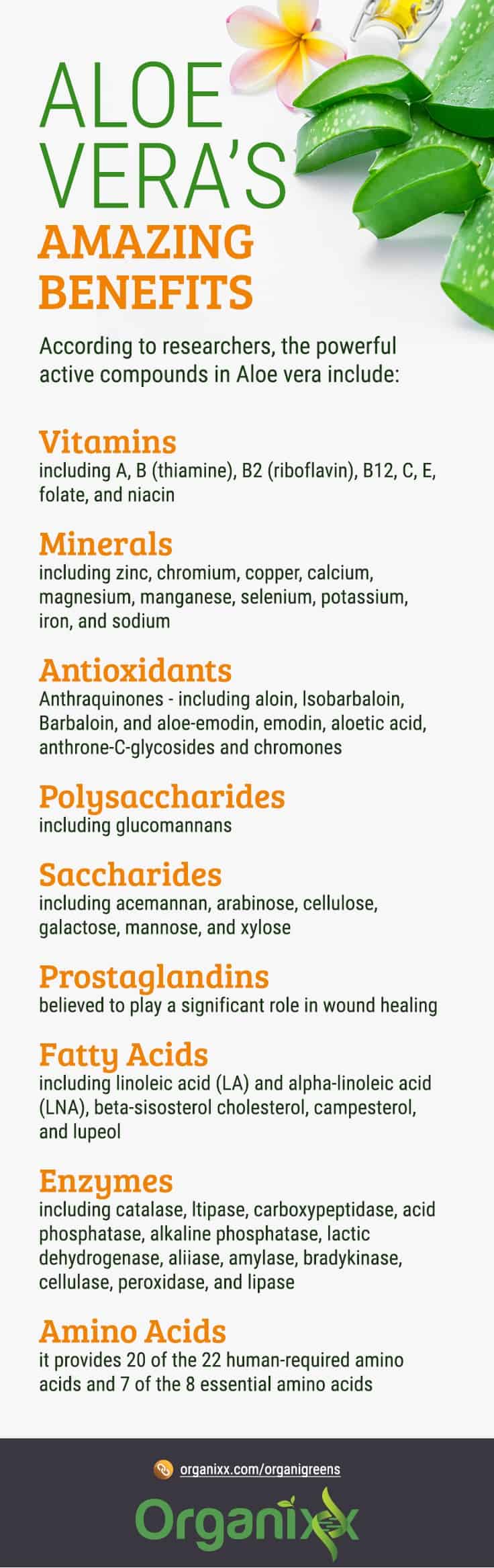 Aloe Vera’s Amazing Benefits