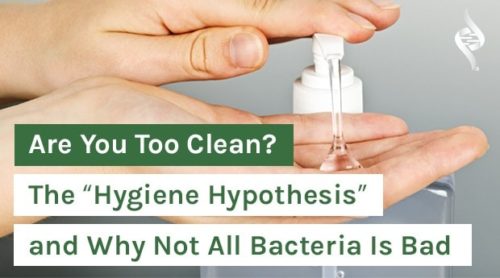 Are You Too Clean? The “Hygiene Hypothesis” and Why Not All Bacteria Is Bad