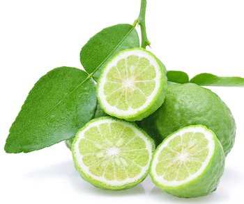 Bergamot Plant - fruit and leaves