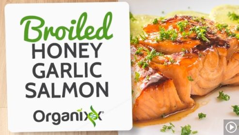 Broiled Honey Garlic Salmon