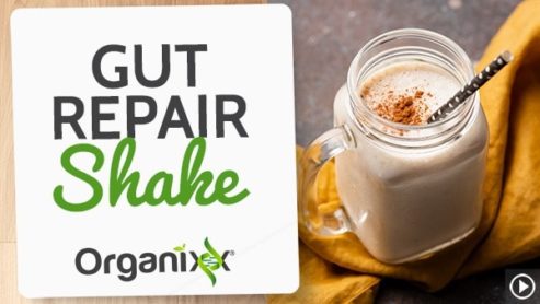 Gut Repair Shake